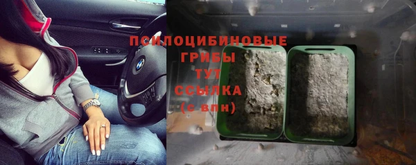 spice Семикаракорск