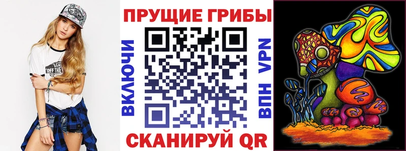 Псилоцибиновые грибы Psilocybe  Ясногорск 